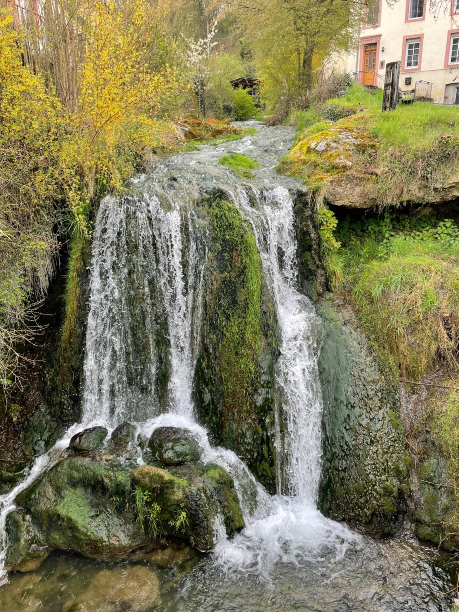 Pension Zur Quelle Deudesfeld Exteriér fotografie