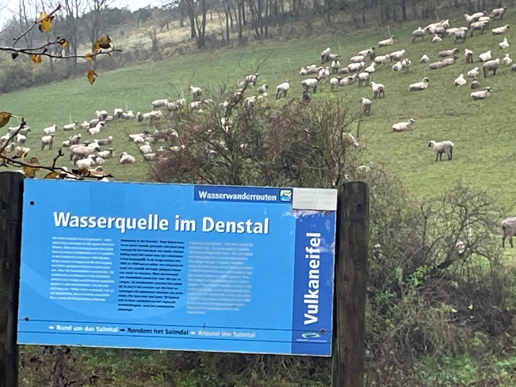Pension Zur Quelle Deudesfeld Exteriér fotografie