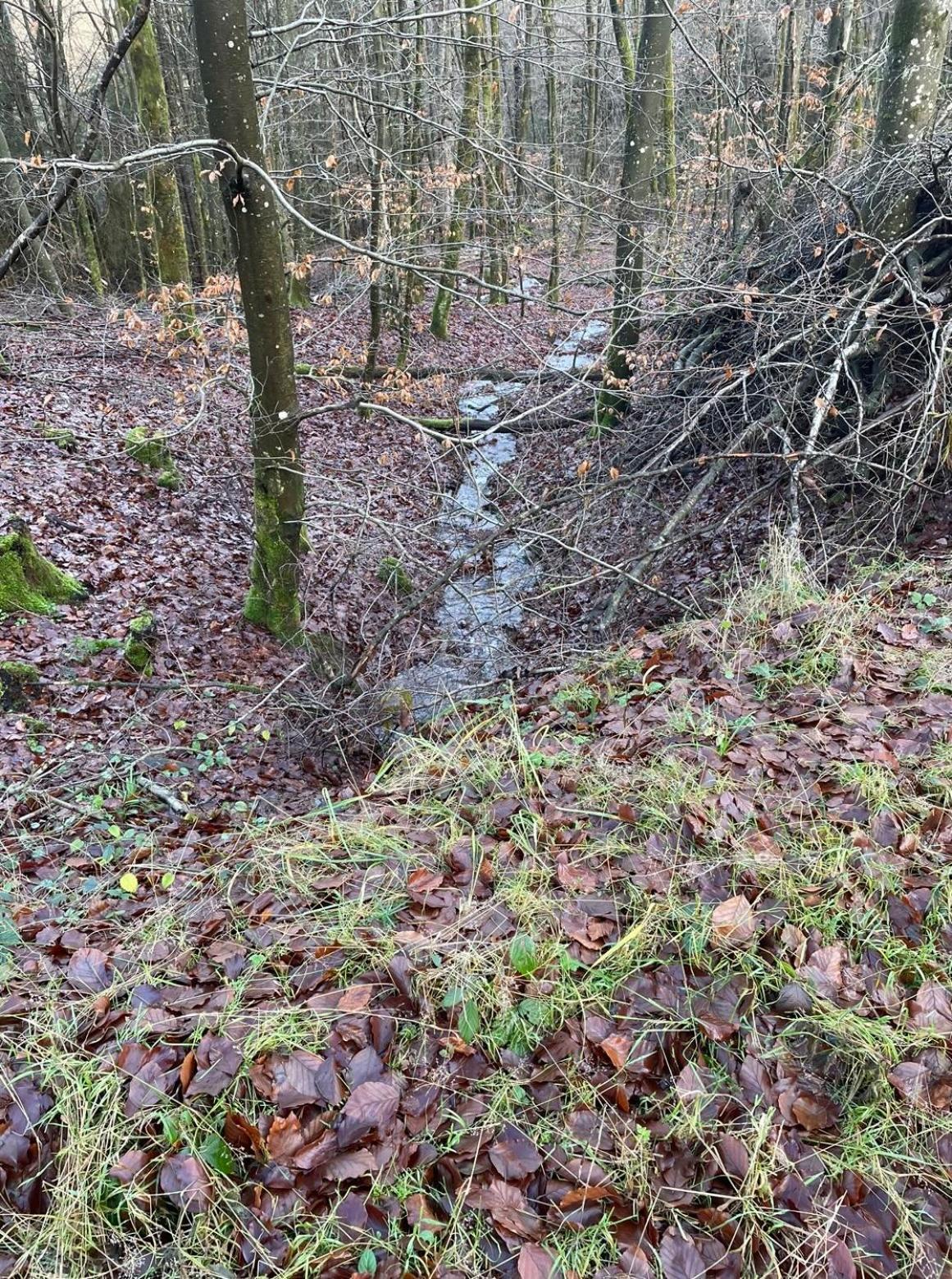 Pension Zur Quelle Deudesfeld Exteriér fotografie