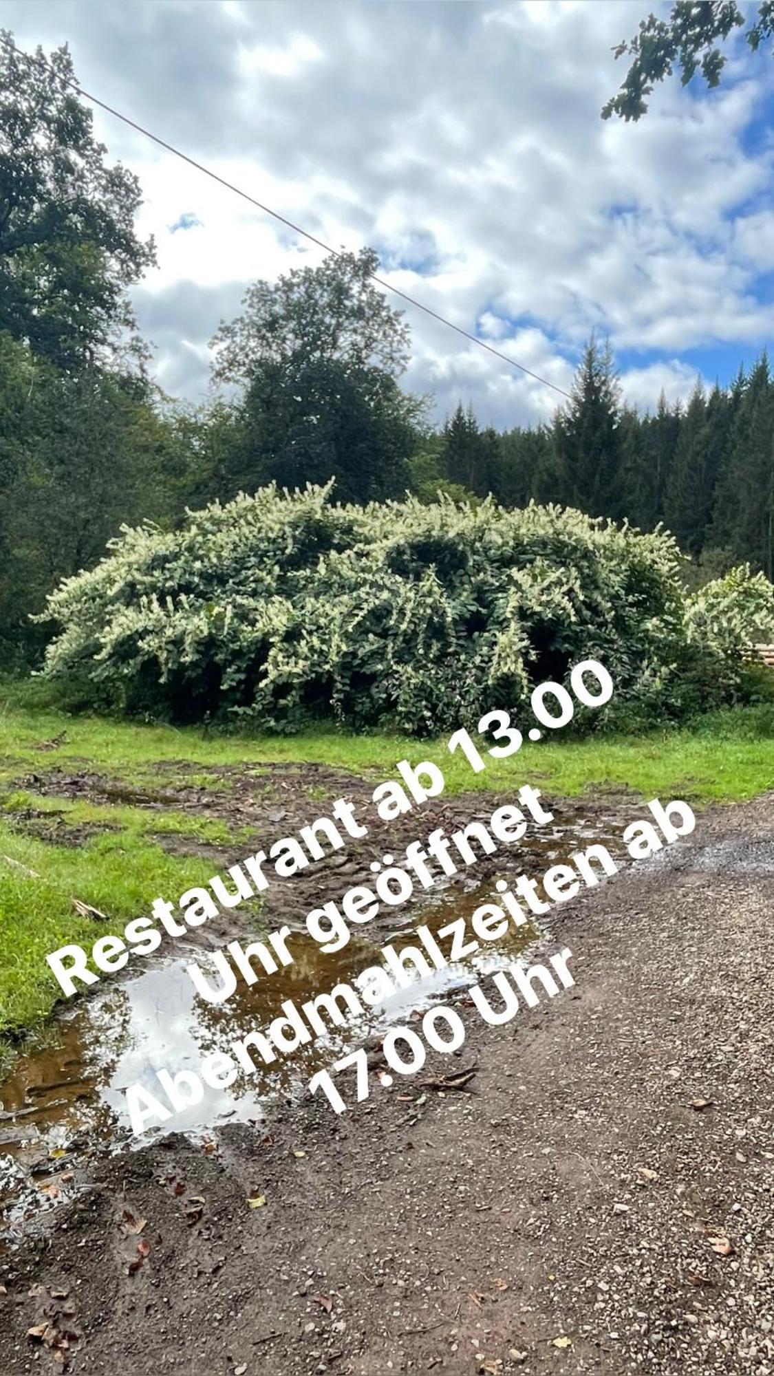 Pension Zur Quelle Deudesfeld Exteriér fotografie