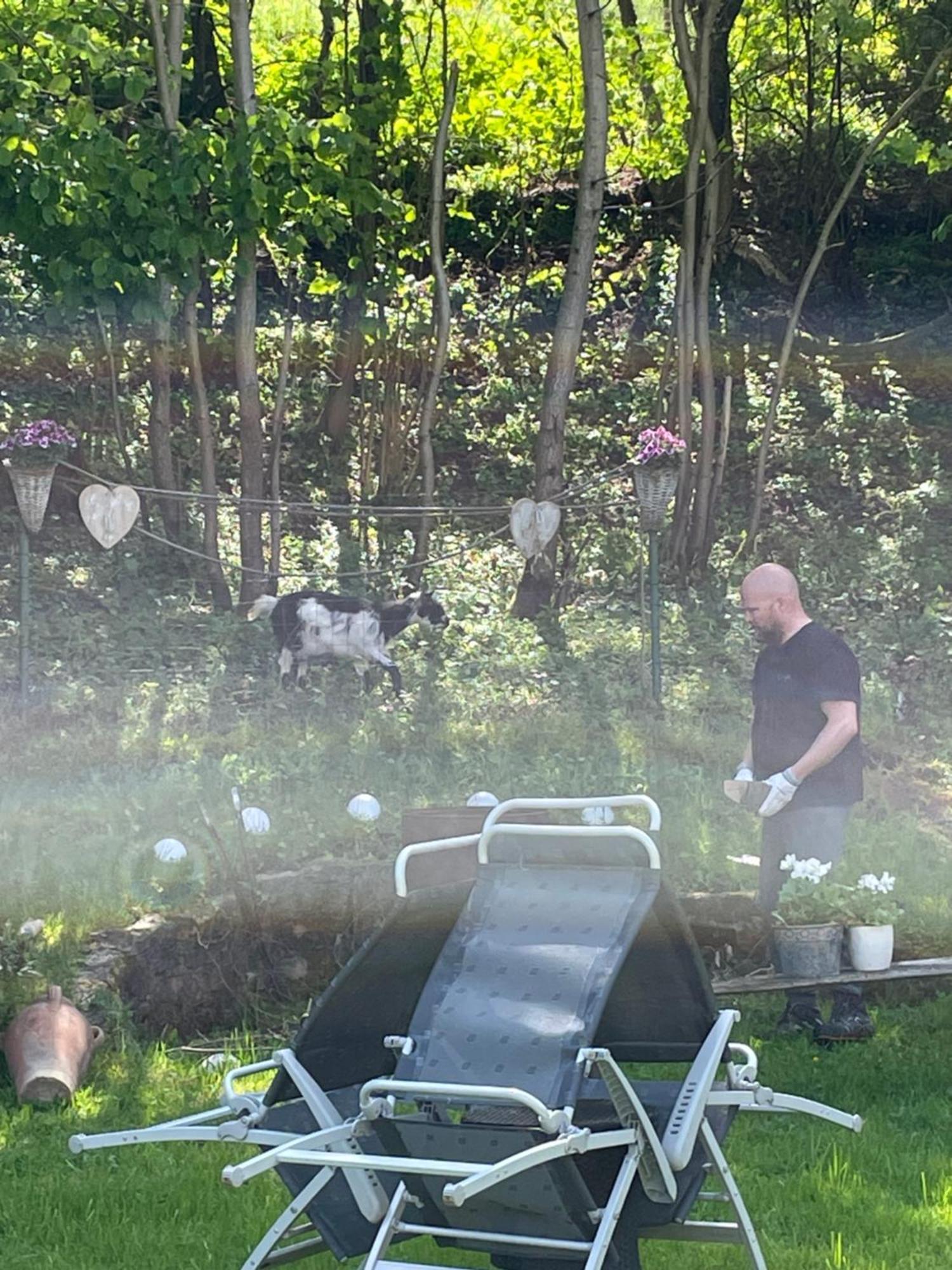 Pension Zur Quelle Deudesfeld Exteriér fotografie